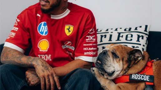 Lewis Hamilton announces loss of beloved dog Roscoe
